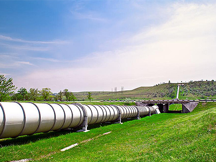 开云体育网址企业风采五